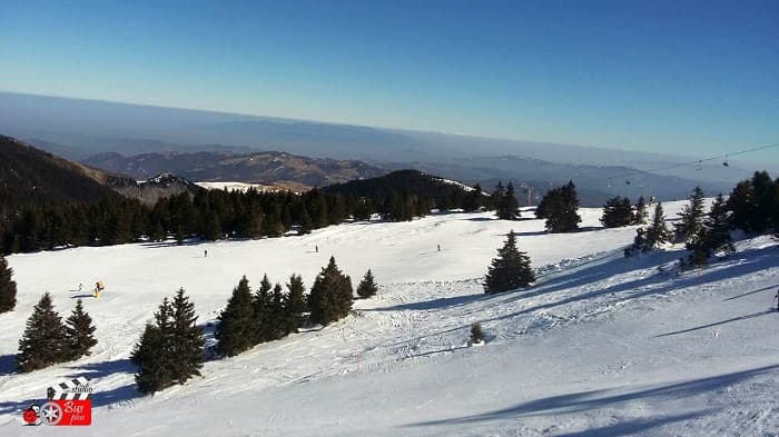 Staza Pančić ponovo otvorena za skijaše (FOTO)