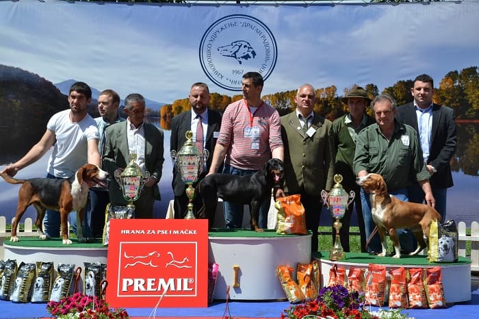 Pobeda "Alpinca" na izložbi u Čačku