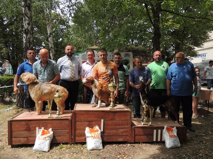 Održana 5. Specijalizovana izložba pasa goniča u Slatini (FOTO)