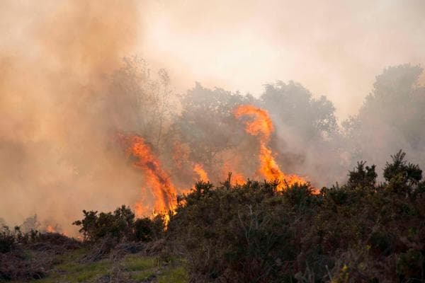 JEDVA SAVLADAN POŽAR U KOŠTUNIĆIMA: Hrabri vatrogasci sprečili tragediju