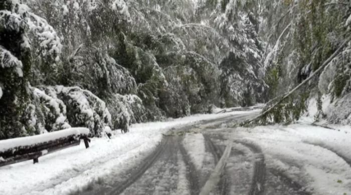 Sudar kod Zlatibora, ima poginulih