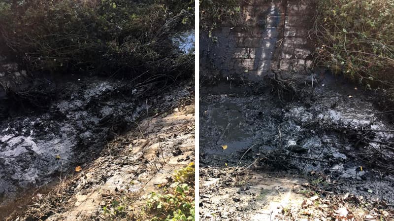 Novo trovanje građana Ljubić keja i Sajmišta