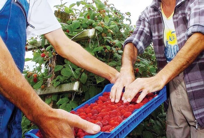 Malinari zadovoljni nakon sastanka s Nedimovićem