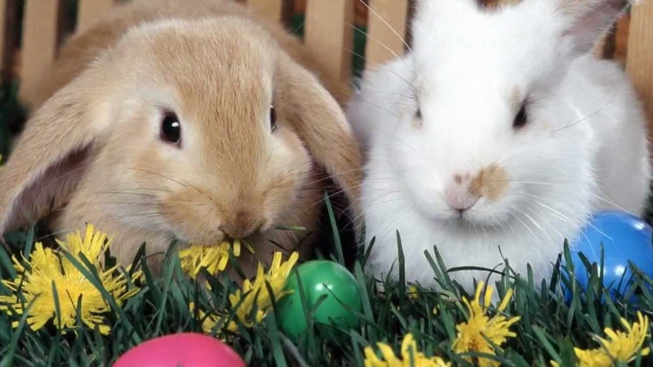 Danas je Uskrs po gregorijanskom kalendaru
