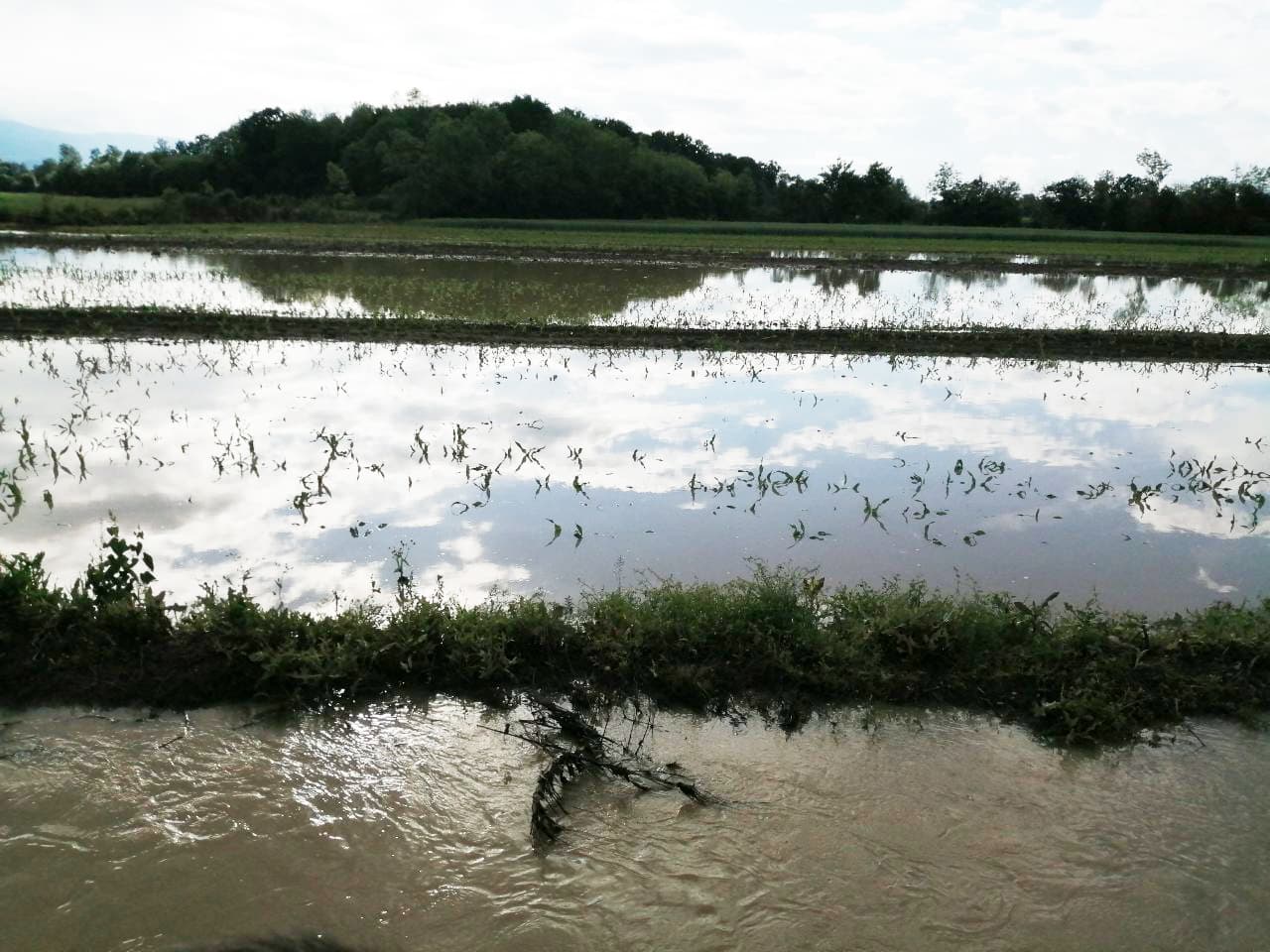 MEŠTANI GORIČANA: Očajni smo, odsečeni smo od sveta (FOTO + VIDEO)