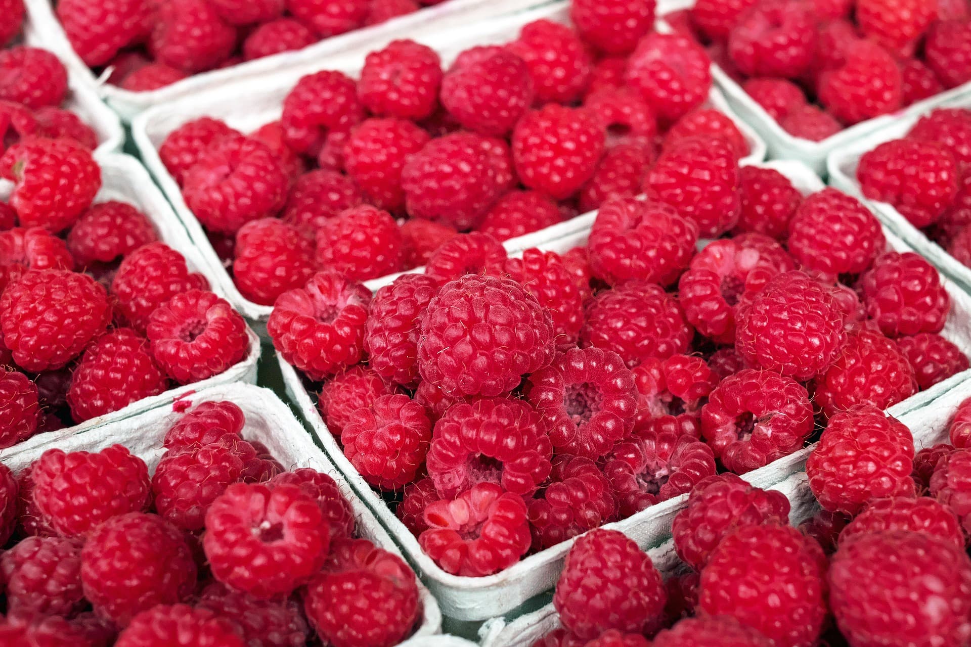 Početna otkupna cena maline 150 dinara