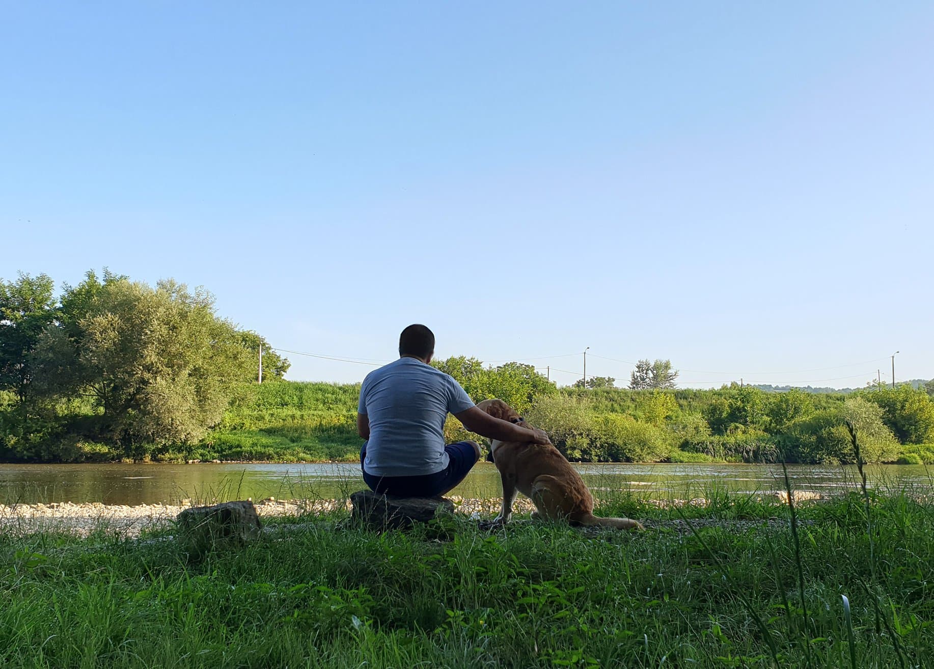 Uginula junakinja dečjih slikovnica - labradorka Dora (FOTO)