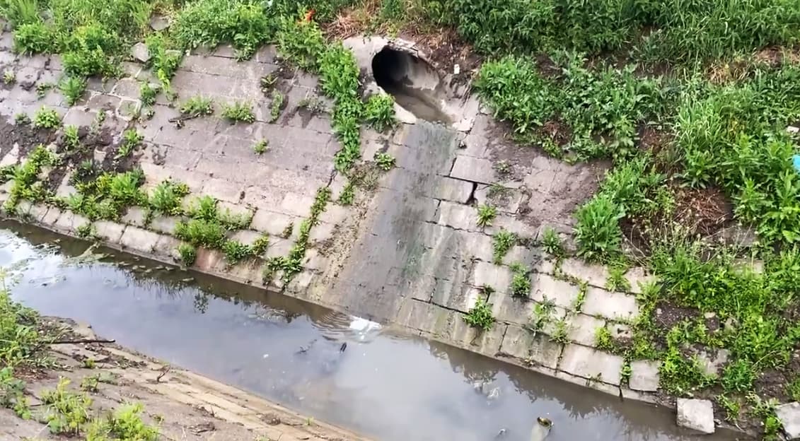 Fekalije u kanalu na Ljubić keju i seča drveća za vreme vanrednog stanja (VIDEO)