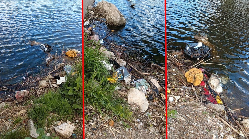 Mrtve životinje i otpad u Zapadnoj Moravi (FOTO)