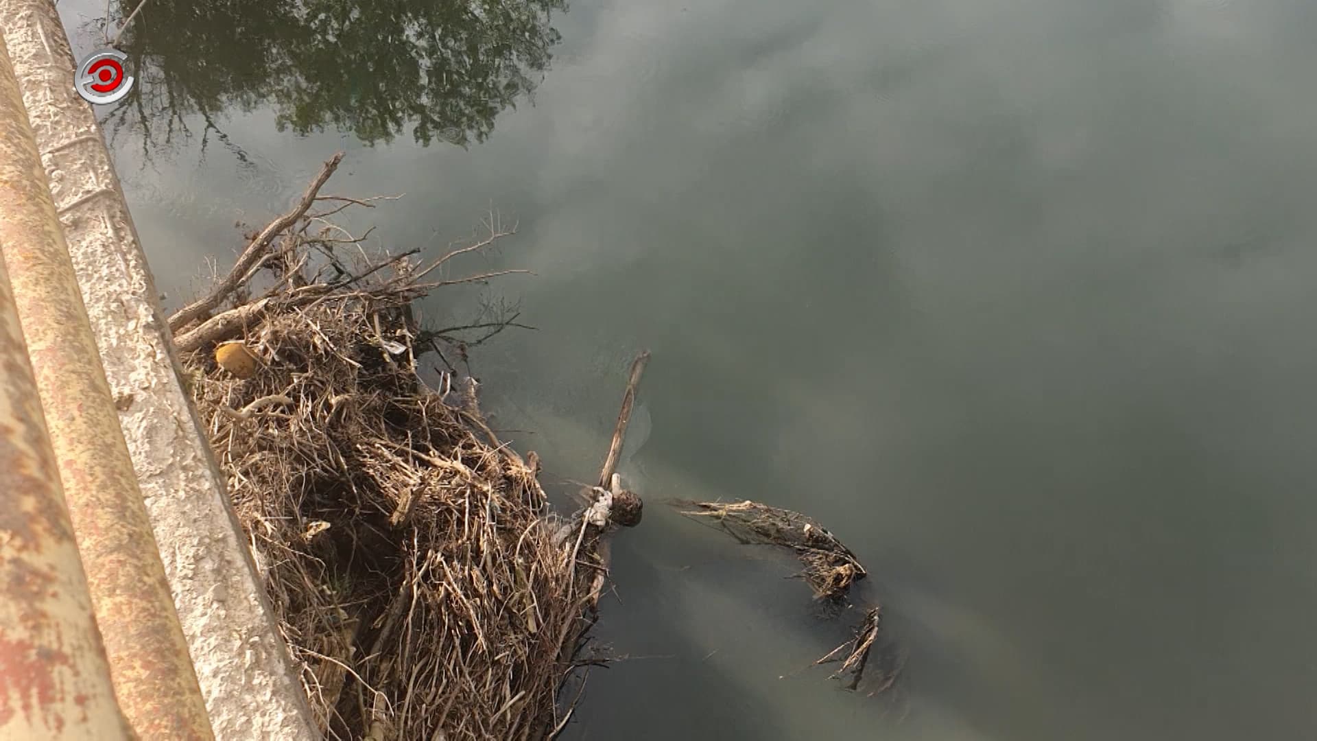 Kod Starog mosta u Mrčajevcima pronađen leš ženske osobe (VIDEO)