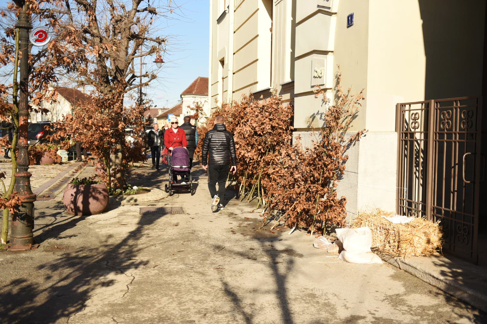 Prodaja badnjaka u Čačku: Manje kupaca u odnosu na prethodne godine (FOTO)