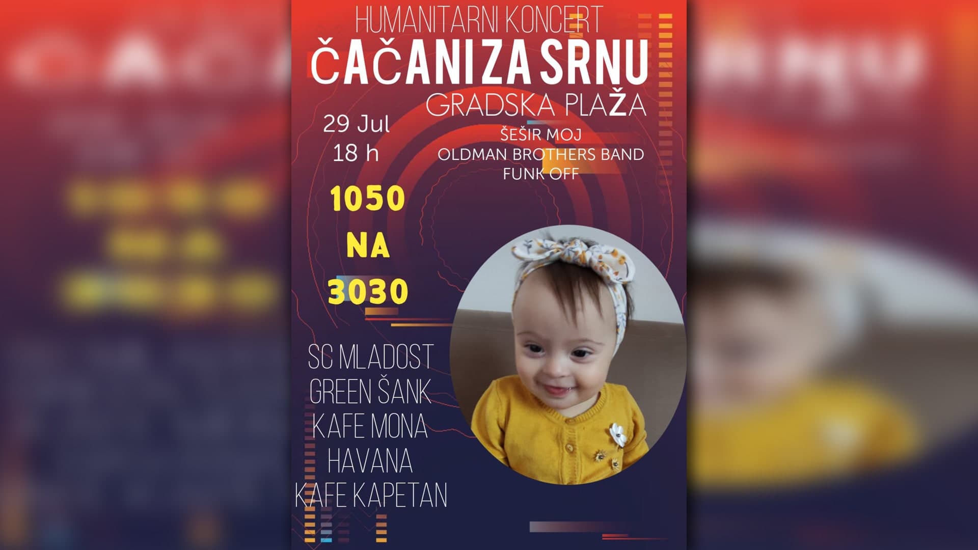 Humanitarni koncert "Čačani za Srnu"
