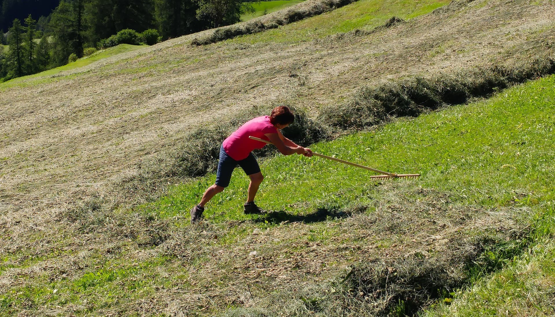 Zaštitnik građana: Unaprediti položaj žena na selu