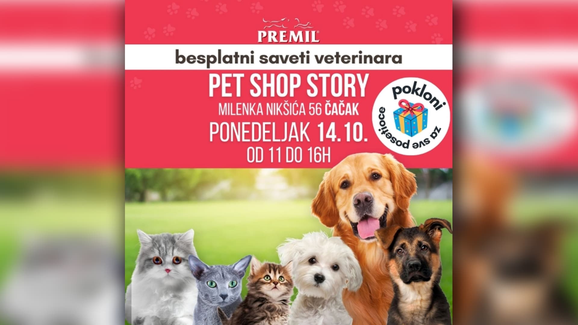 Zbog velikog interesovanja, Premil veterinar ponovo u PET SHOP STORY u Čačku