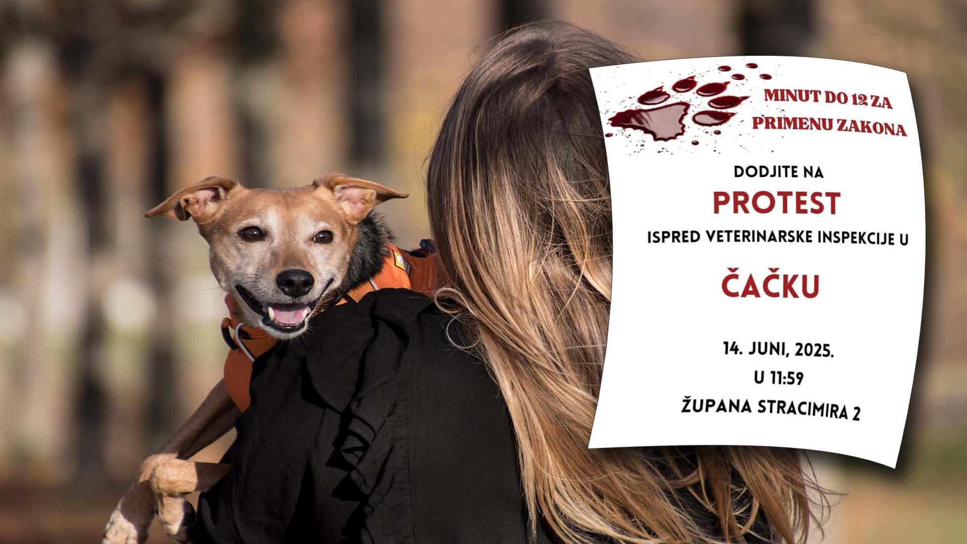Protest "Srbija uz šapice" i u Čačku