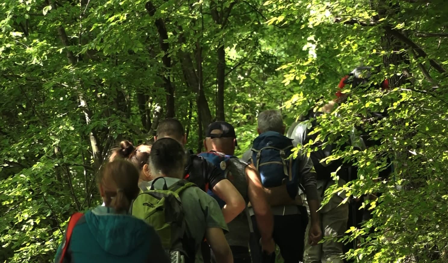 Gorska služba spasavanja traži spasioce volontere