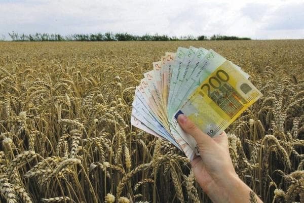 NOVI PROPISI - Zemljište se neće prodavati strancima!