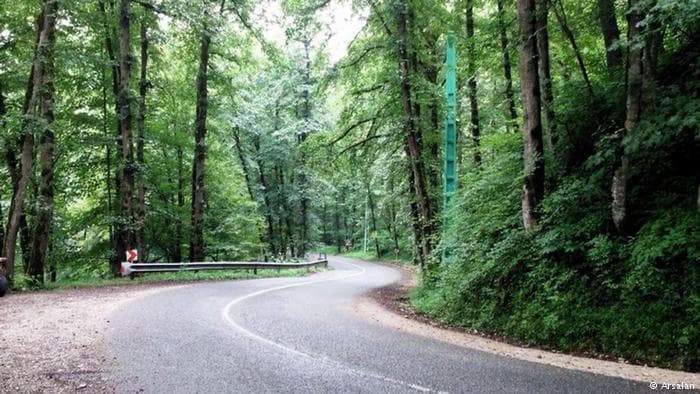 DRAGAČEVO: Šumar pronašao obezglavljen kostur nestale žene, sumnja se da je svirepo ubijena