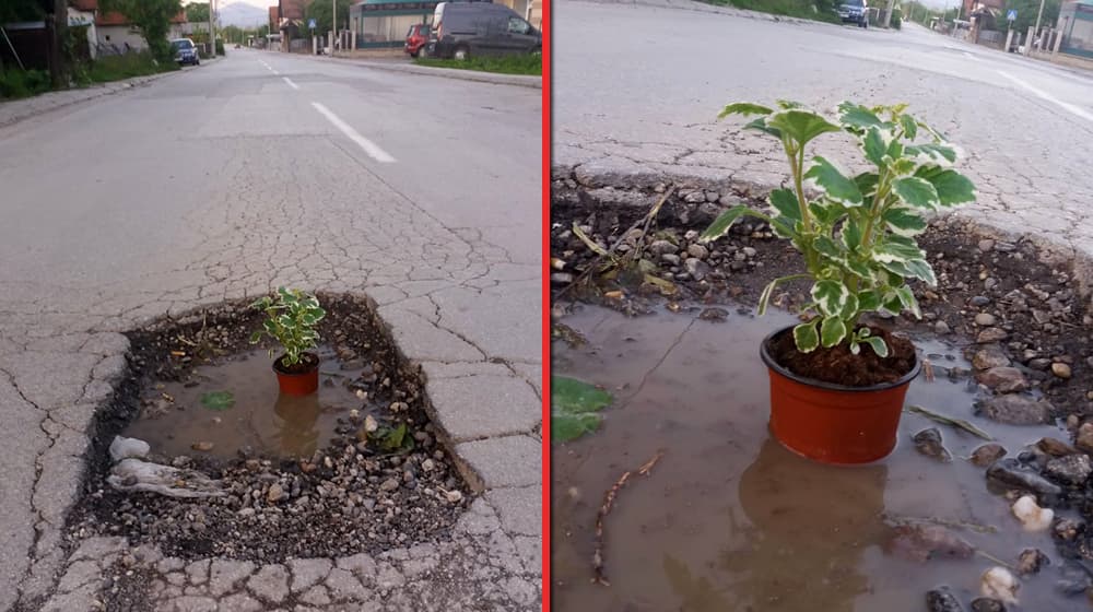 REPORTERI U EPICENTRU: Gde god nađeš zgodno mesto, ti cveće posadi (FOTO)