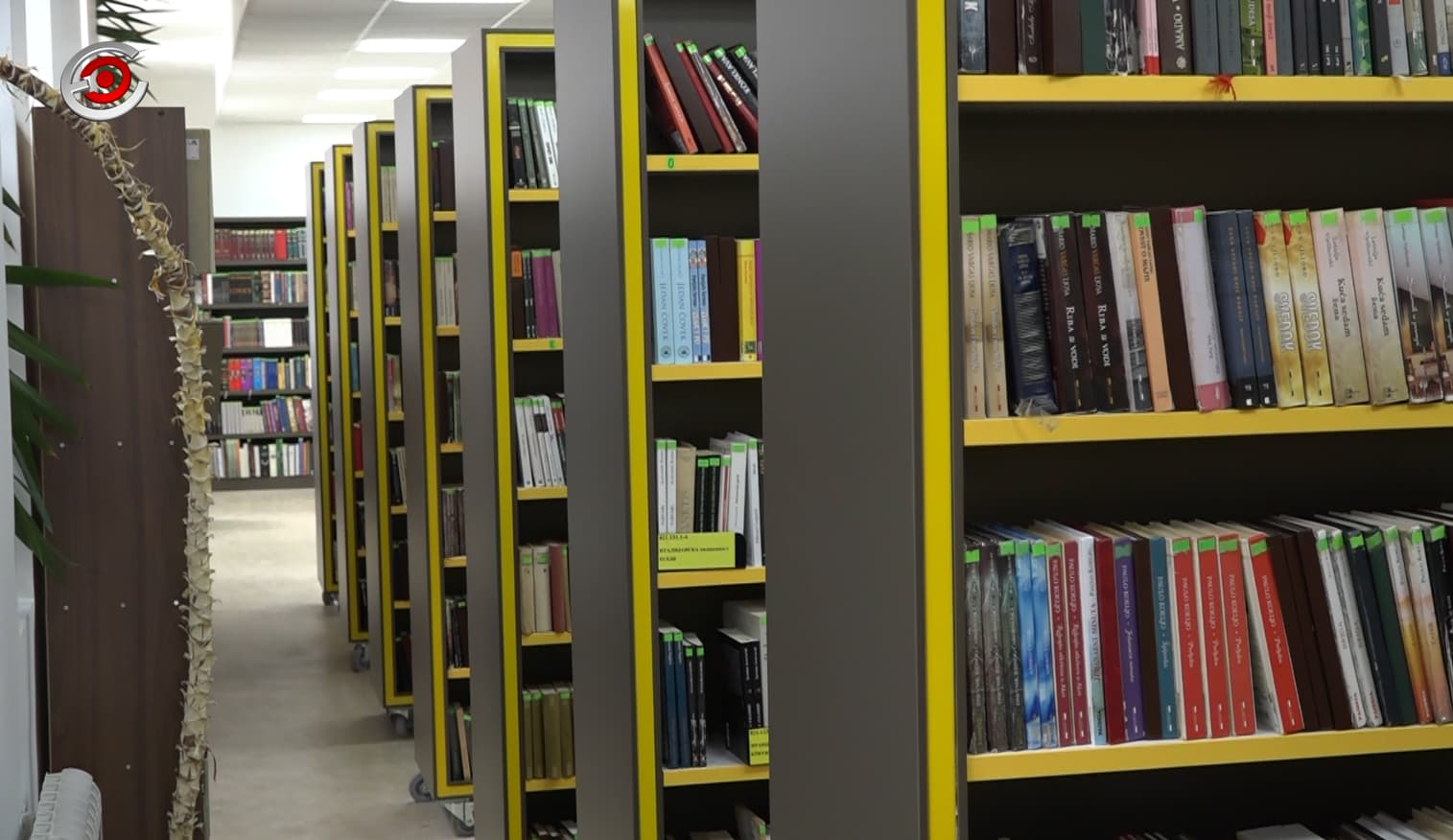 Najčitanije knjige u 2019. u Gradskoj biblioteci u Čačku