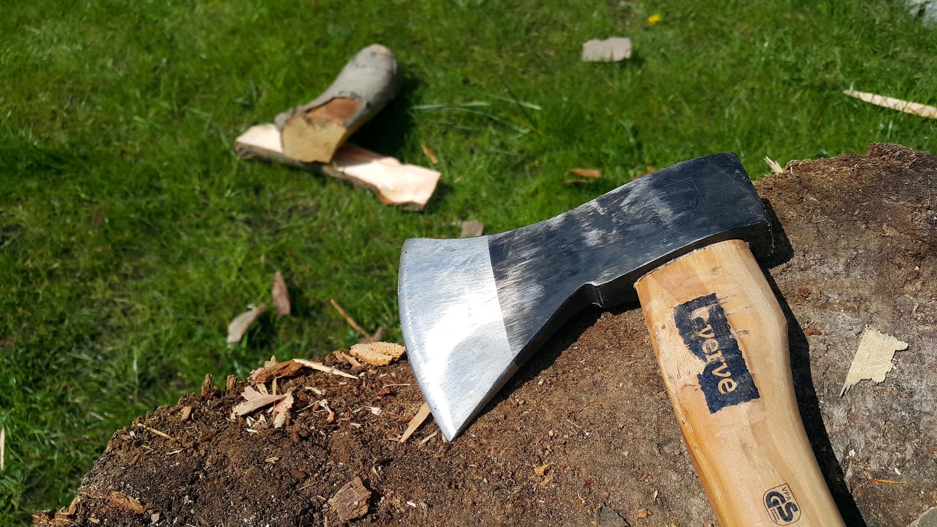 Poginuo muškarac prilikom seče drva u šumi