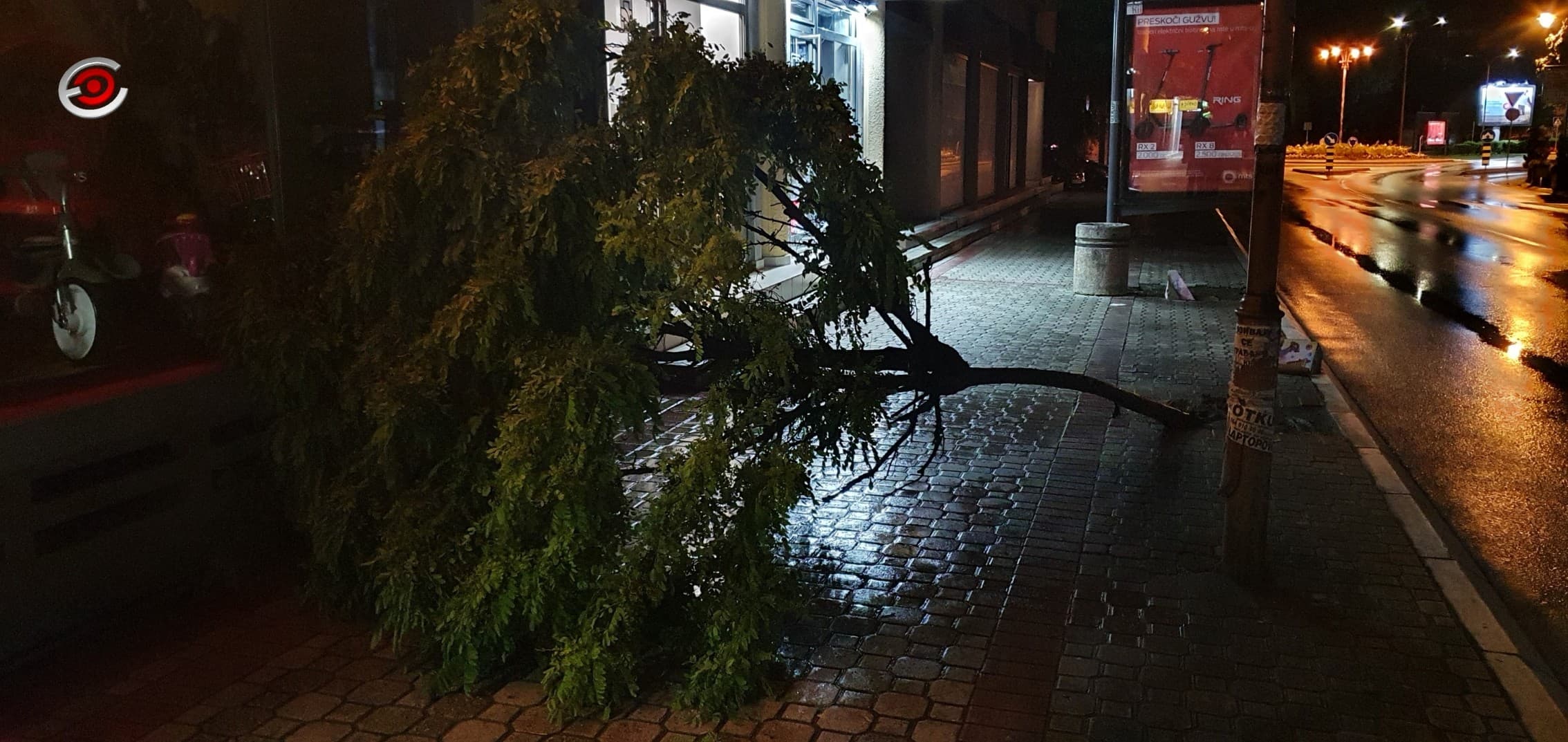 Čačak: Nevreme čupalo drveće, oštetilo deo fasada (FOTO)