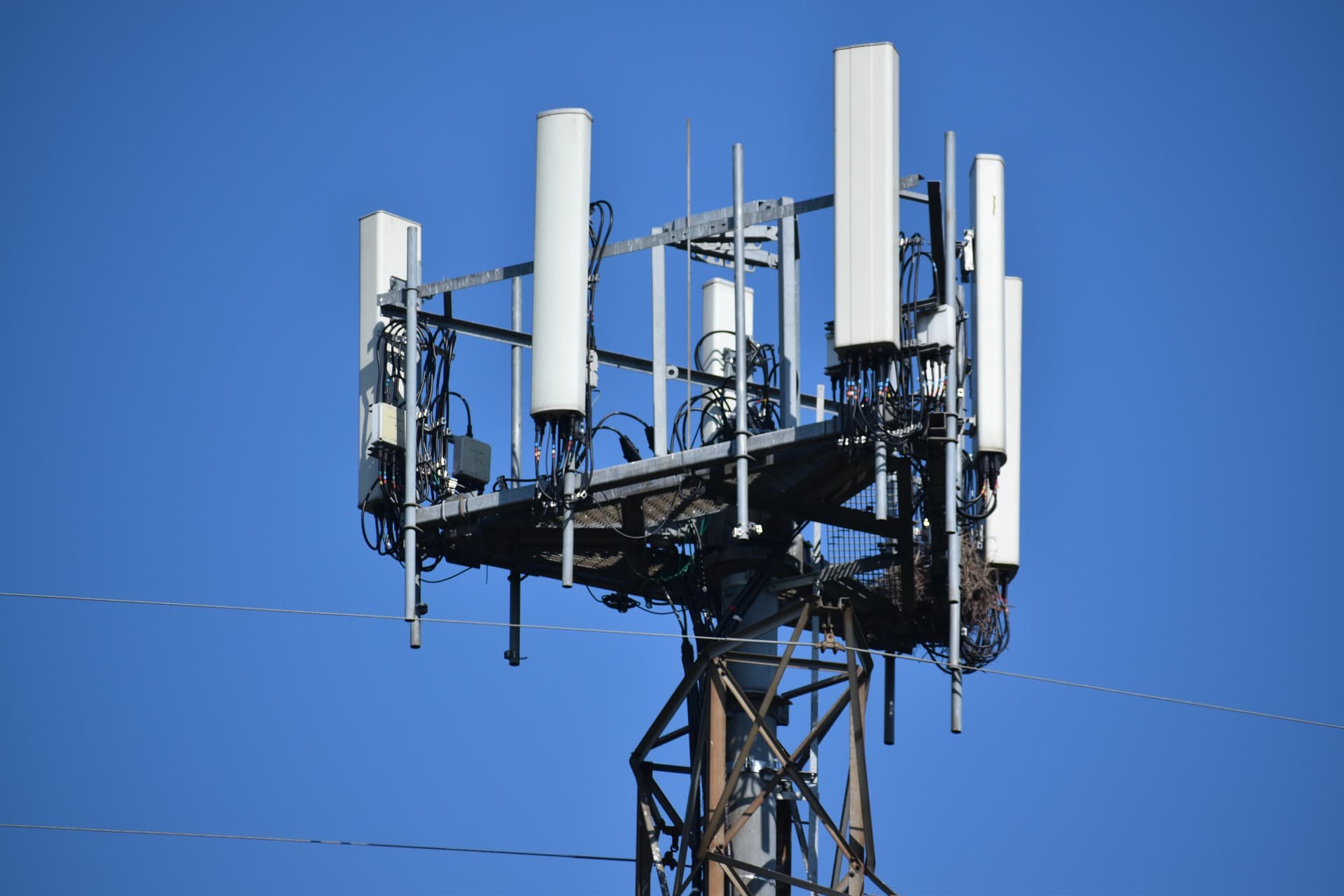 Brnabić: Običnim građanima 5G mreža nije potrebna, neophodna je samo naučnoj zajednici
