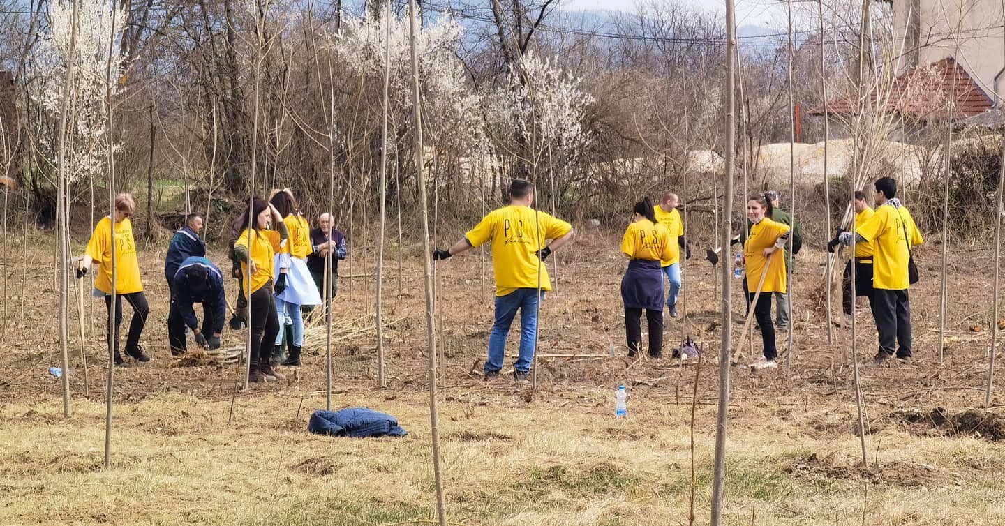 U Konjevićima počela akcija sadnje 1000 stabala kanadske topole (FOTO)