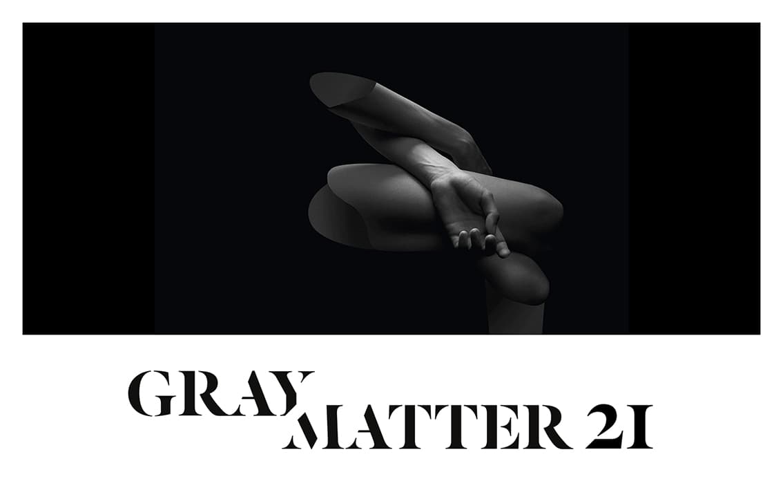 Izložba "Gray matter 21" Ivana Šijaka