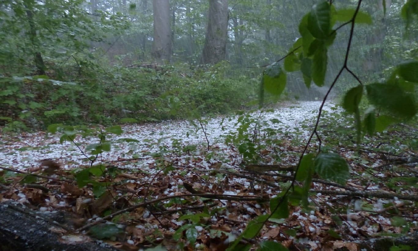Nevreme sa gradom veličine lešnika u Požegi
