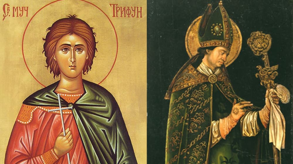 Sveti Trifun, Sveti Valentin i Dan zaljubljenih