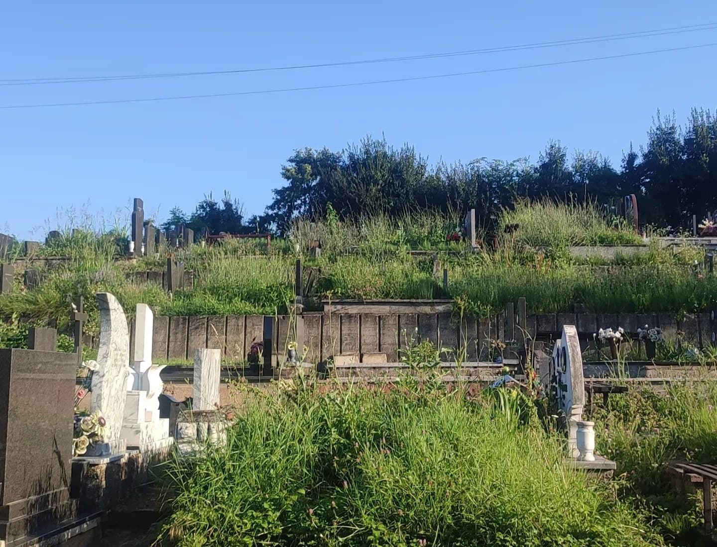 Zapušteno groblje nema opravdanja (FOTO)