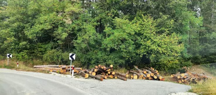 Putić ili auto - put na vrhu Kablara (VIDEO)