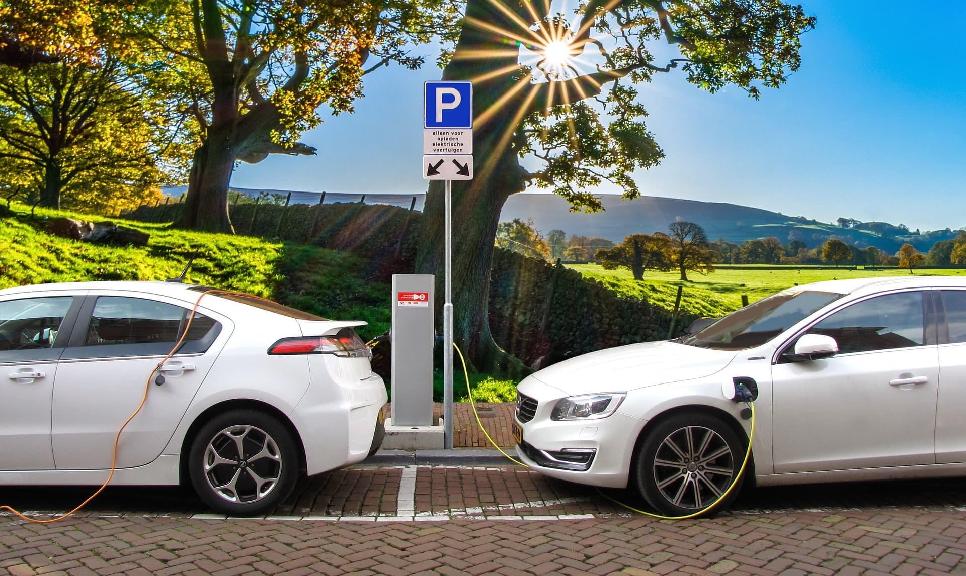 carVertical: Stagnacija prodaje električnih vozila uprkos državnim podsticajima