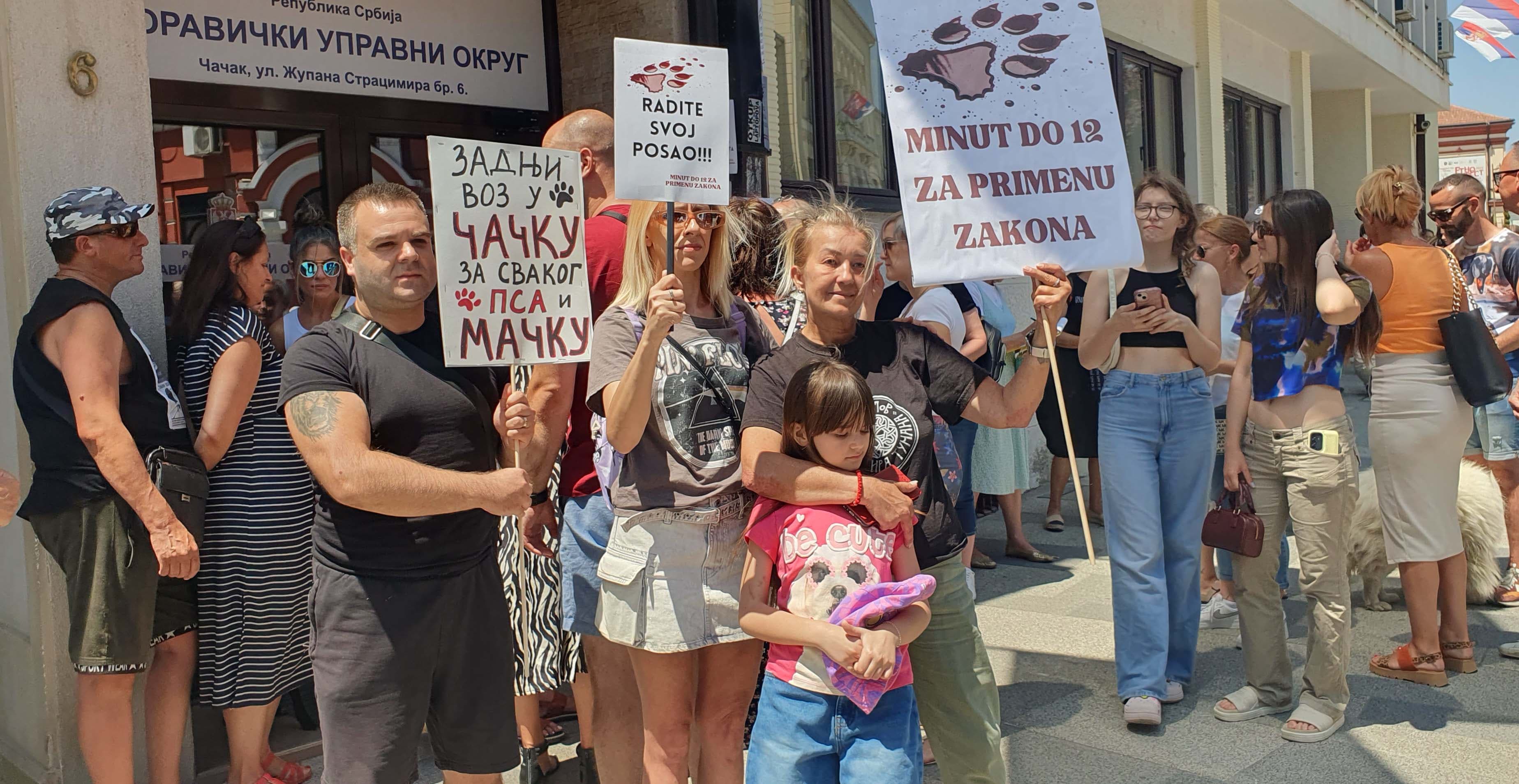 Čačak: "Napuštene životinje nemaju glas, ali zato imaju nas!" (FOTO+VIDEO)